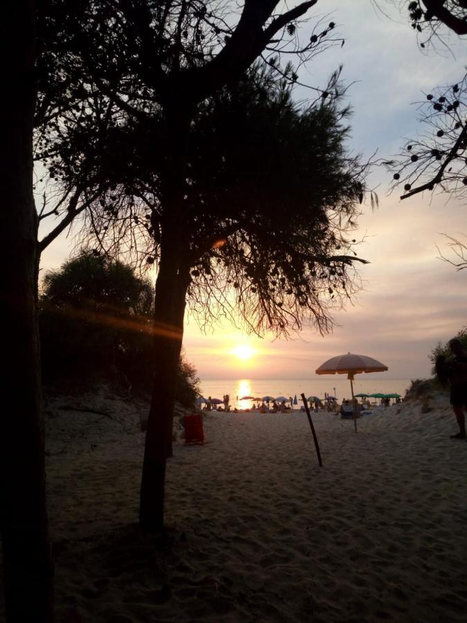 Casa Vacanze "Alizza" Alezio Bagian luar foto